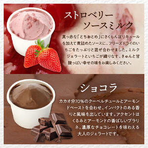 E.den(エデン) 豊富牛乳ジェラート ベーシック 6個セット