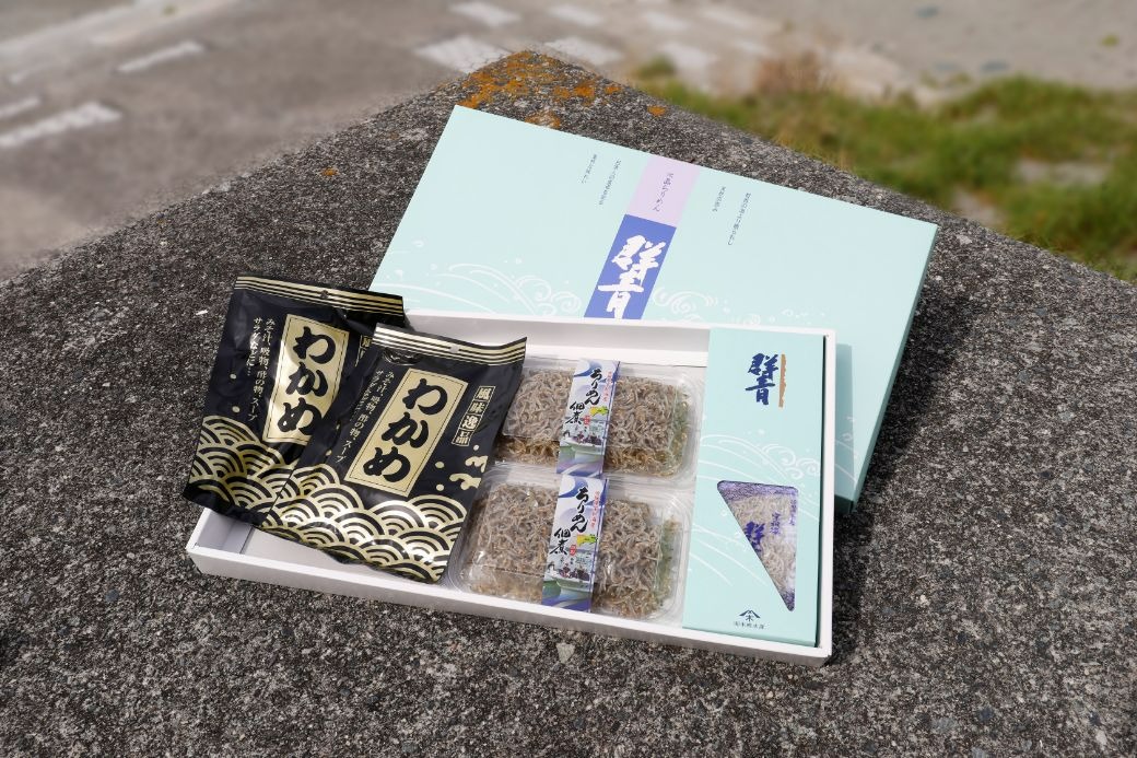 【愛媛県・佐田岬直送】木嶋水産のちりめん、塩蔵糸わかめのセット IKTP003