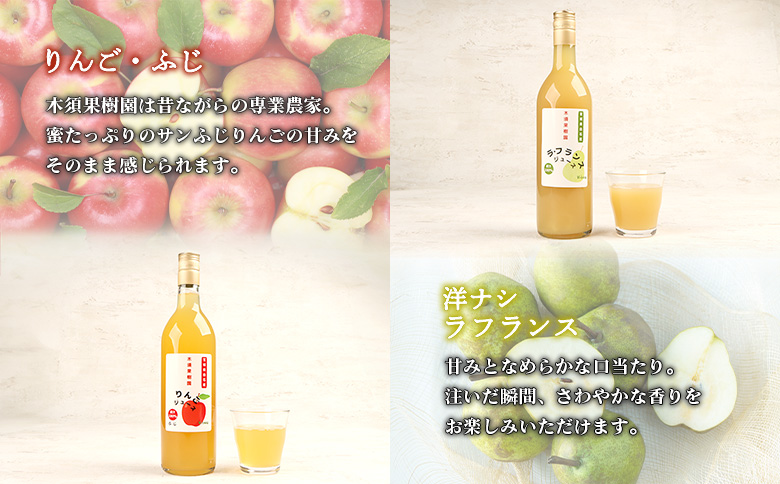 木須果樹園のまるごと果実の100％ストレートジュース2種セット（洋ナシ、りんご）【12157】