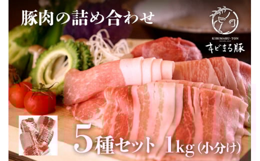 沖縄県ブランド豚 キビまる豚 豚肉の詰め合わせ5種セット1kg 小分け グルメ 食品 肉 贈り物 冷凍 豚肉 おかず お肉 惣菜 お取り寄せ ブランド豚肉 バラエティ セット 新鮮 生肉 高級 柔らかい おいしい おうちご飯 高級肉 贈答 福袋 福箱   沖縄県 糸満市