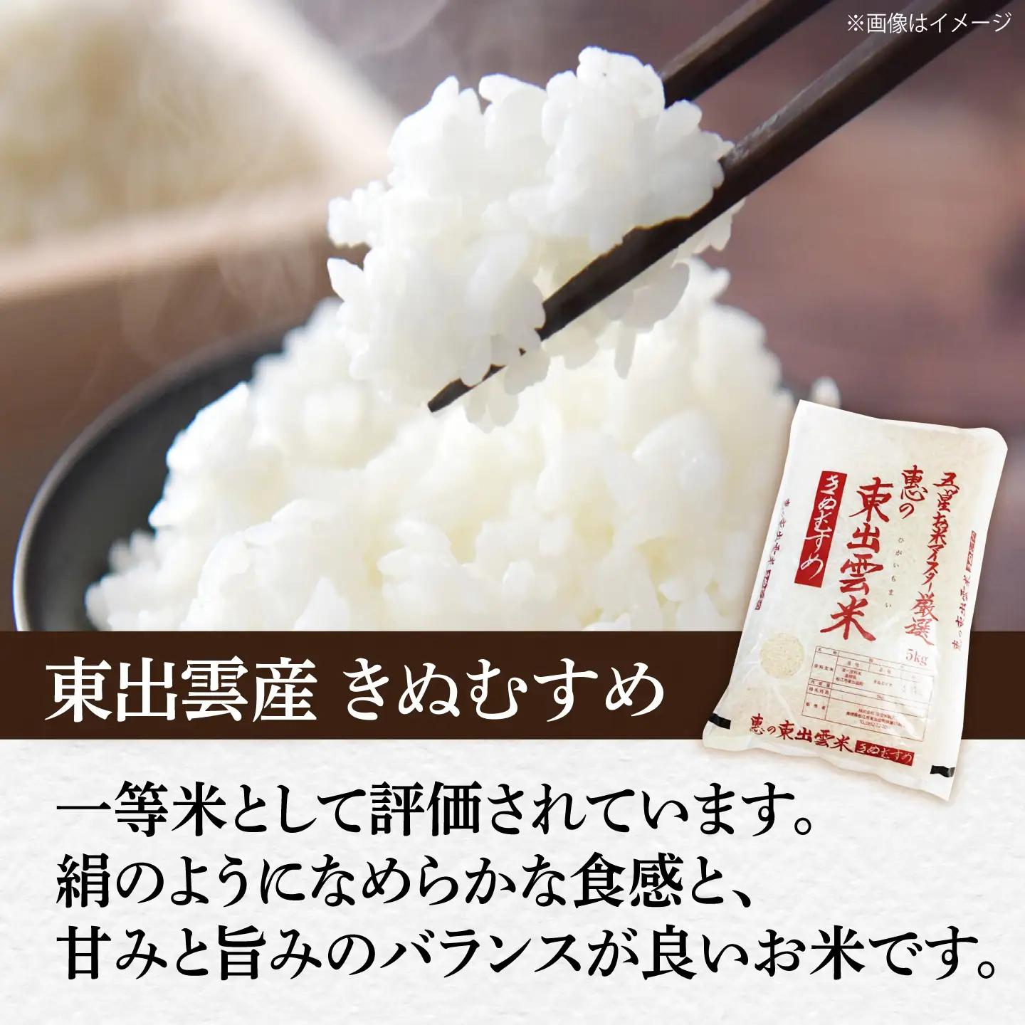 【精米】きぬむすめ5kg 白米 5kg(5キロ×1) ブランド米 [ALBU017]お米