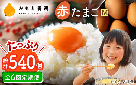 【全6回定期便】赤たまご M玉 90個（85個＋5個割れ保証）【株式会社 かもと養鶏】タマゴ 玉子 熊本県 卵 国産 新鮮 あかたまご M玉  濃厚 [ZCA015]