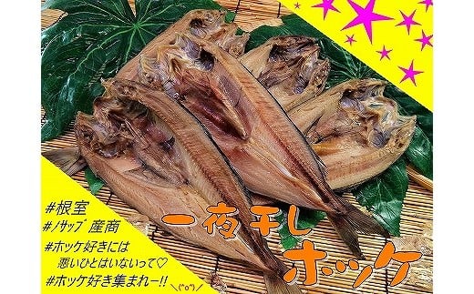 B-59005 【北海道根室産】一夜干しホッケ5枚