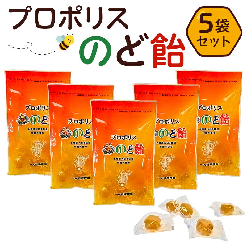 【ふるさと納税】 プロポリスのど飴 5袋 栃木県 那須塩原市 プロポリス のど飴 あかしや蜂蜜 かりんエキス 直火炊き 砂糖不使用 香料不使用 着色料不使用 ジッパー付き 喉 対策 飴 お取り寄せ 送料無料
