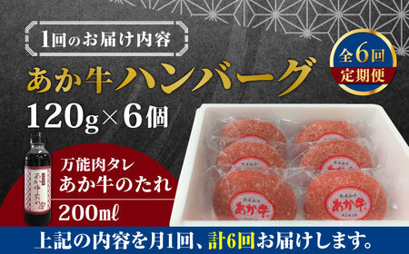 【全6回定期便】【日本ギフト大賞 受賞】熊本県産 あか牛ハンバーグ セット 計720g ( 120g × 6個 ) 冷凍 専用タレ付き あか牛のたれ付き 個包装 熊本和牛 熊本ハンバーグ あか牛ハンバ