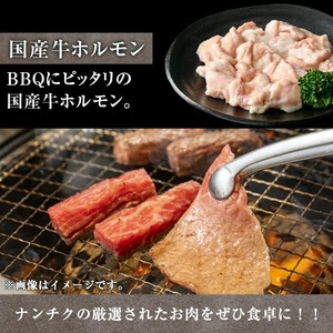 鹿児島県産黒毛和牛の焼き肉セット(和牛ロース肉、モモ肉、国産牛ホルモン 各200g 計600g) 黒毛和牛 焼き肉 冷凍【ナンチク】A-6