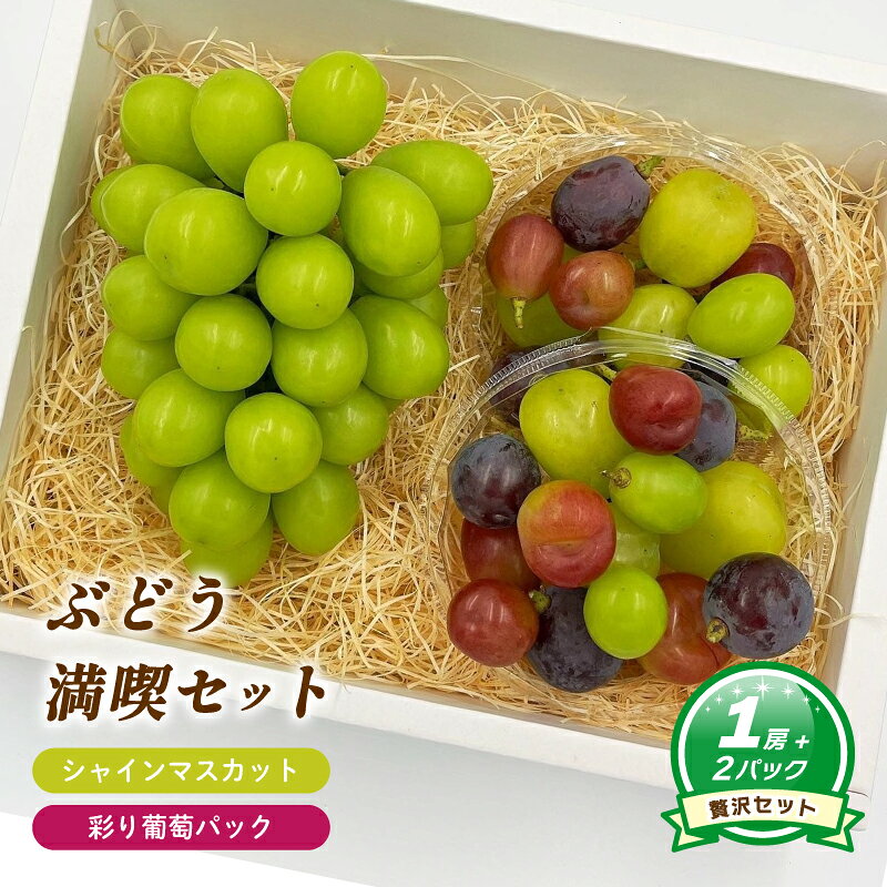 【ふるさと納税】 【2026年8月中旬頃から順次発送】 シャインマスカット 約550g ( 大1房 ) + 彩り葡萄パック 約270g ( 2パック ) | ぶどう シャインマスカット 皮ごと 種なし 大粒 数量限定 愛媛県産 松山市