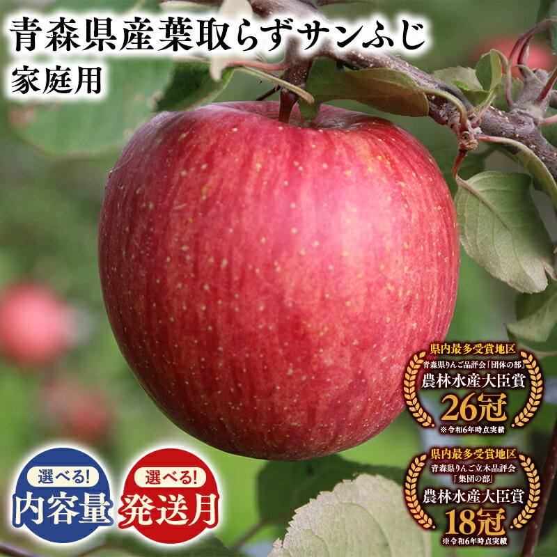 【ふるさと納税】≪内容量と配送月が選べる!≫ 青森県産 訳あり 葉とらずサンふじ 3kg 5kg 10kg 【青森県 平川市 そと川りんご園】11月〜4月発送 家庭用 青森 青森県産 平川 りんご リンゴ 林檎 くだもの 果物 フルーツ 葉とらず サンふじ ふじ