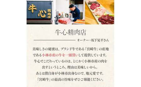 A4等級以上 宮崎牛サーロインステーキ （200g×2枚） 内閣総理大臣賞 牛肉 和牛 黒毛和牛 ブランド牛 宮崎牛 和牛 国産 サーロイン ステーキ