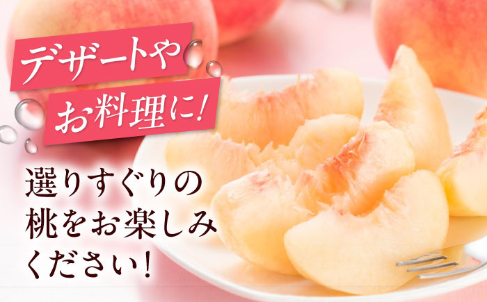 桃 もも モモ ピーチ 果物 果実 フルーツ 果樹 贈答用 ジャム コンポート 白桃 水蜜 あかつき なつおとめ デザート