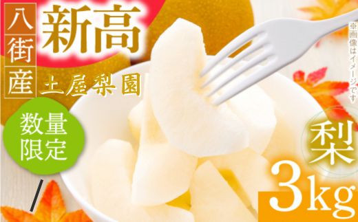 ＼9月12日まで 申込受付中／先行予約！ 新高 梨 3kg なし 新高 送料無料 取り寄せ おすすめ 人気 ナシ 限定  国産 期間 秋 10月 敬老の日 2024年 9月 季節 フルーツ 果物 くだもの 旬 千葉県 特選 ギフト 糖度 和梨 八街 土屋梨園