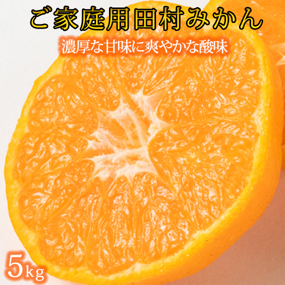 【先行予約】【ご家庭用訳あり】田村みかん ５ｋｇ◇｜ 有田 紀伊 ふるさと納税 ミカン｜ 蜜柑 柑橘 果物 フルーツ 糖度 甘い 濃厚 コク ジューシー 先行予約 みかん 国産 産地直送 人気 美浜町