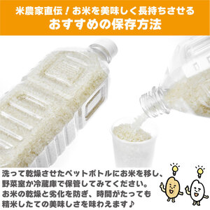 こしひかり ひのひかり  精米済 10kg お米 令和5年産 白米