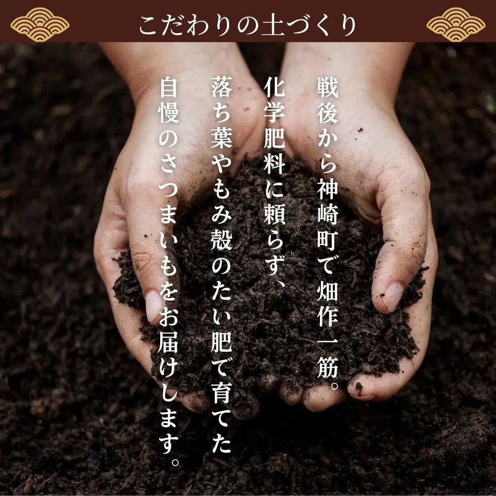 神崎町産 べにはるか さつまいも 5kg【土付き・M～Sサイズ混合】(3月～12月受付分は1月中旬～3月中旬発送)｜さつま芋 焼き芋 焼きいも イモ 芋 紅はるか 訳アリ しっとり 濃厚 蜜 スイート
