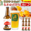 【ふるさと納税】《定期便7ヶ月》【秋田の地ビール】秋田あくらビール なまはげIPA 6本セット(330ml×計6本)