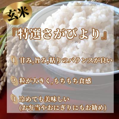 ふるさと納税 みやき町 【毎月定期便】《特選さがびより》玄米10kg(5kg×2袋)【みやき町産】_SS915全3回 |  | 01