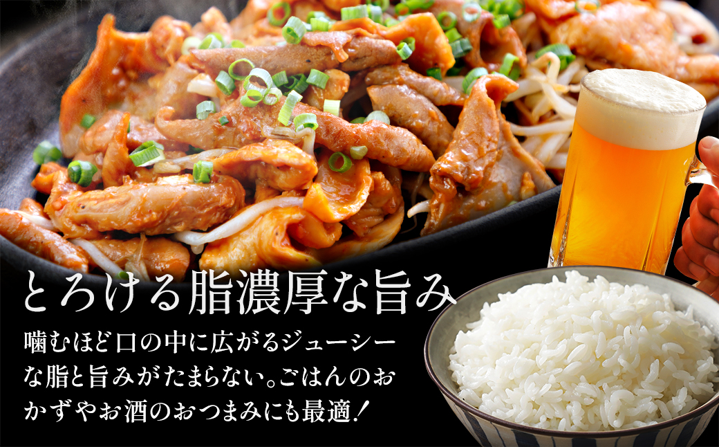 JAPAN X 味付ホルモン 300g×10 計3kg　豚肉 豚 ブランド豚 小分け 豚ホルモン ホルモン ジャパンエックス 蔵王 人気【04301-0882】