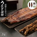 【ふるさと納税】紀州備長炭　炭焼うなぎ蒲焼2本（特大） 　炭焼きも串セット | うなぎ 鰻 ウナギ 国産 蒲焼き かばやき 冷凍 うな重 ひつまぶし お取り寄せ 和歌山県 有田川町 タレ 山椒 ランキング 人気　特産品 お取り寄せ グルメ プレゼント ギフト 高級 食べ物 食品