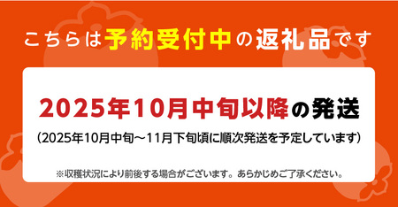 秋王3kg箱_柿 秋王 選べる 内容量 3kg 箱 8 ～ 12玉 冷蔵 甘柿 新品種 糖度 約17度 高糖度 種少ない 食感 オリジナル ブランド甘柿 デザート 果物 お取り寄せ お取り寄せフルーツ