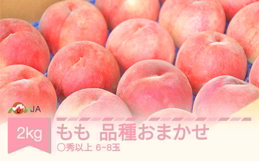 先行予約 もも 桃 品種おまかせ 約2kg 令和7年産 2025年産 山形産 果物 ja-moxxx2
