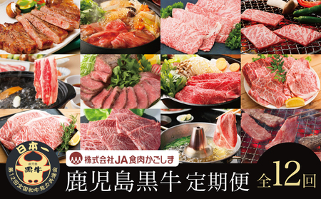【JA食肉かごしま】鹿児島黒牛 定期便（全12回） かごしまブランド 黒毛和牛 和牛 牛肉 お肉 霜降り 赤身 ステーキ 焼肉 焼き肉 バーベキュー BBQ すき焼き しゃぶしゃぶ 食べ比べ 定期便 JA食肉かごしま 南さつま市