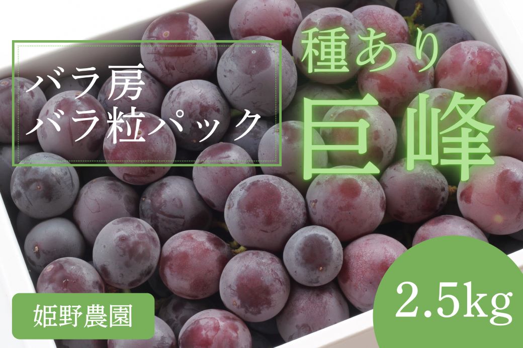【先行予約】2025年産 訳あり 種あり巨峰バラ房・バラ粒パック約2.5kg