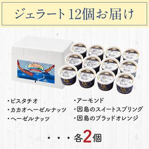 ★こだわりの素材がつむぎ出すプレミアムな味わい！スぺチャーレギフト12個入【スピード配送】（6種類）