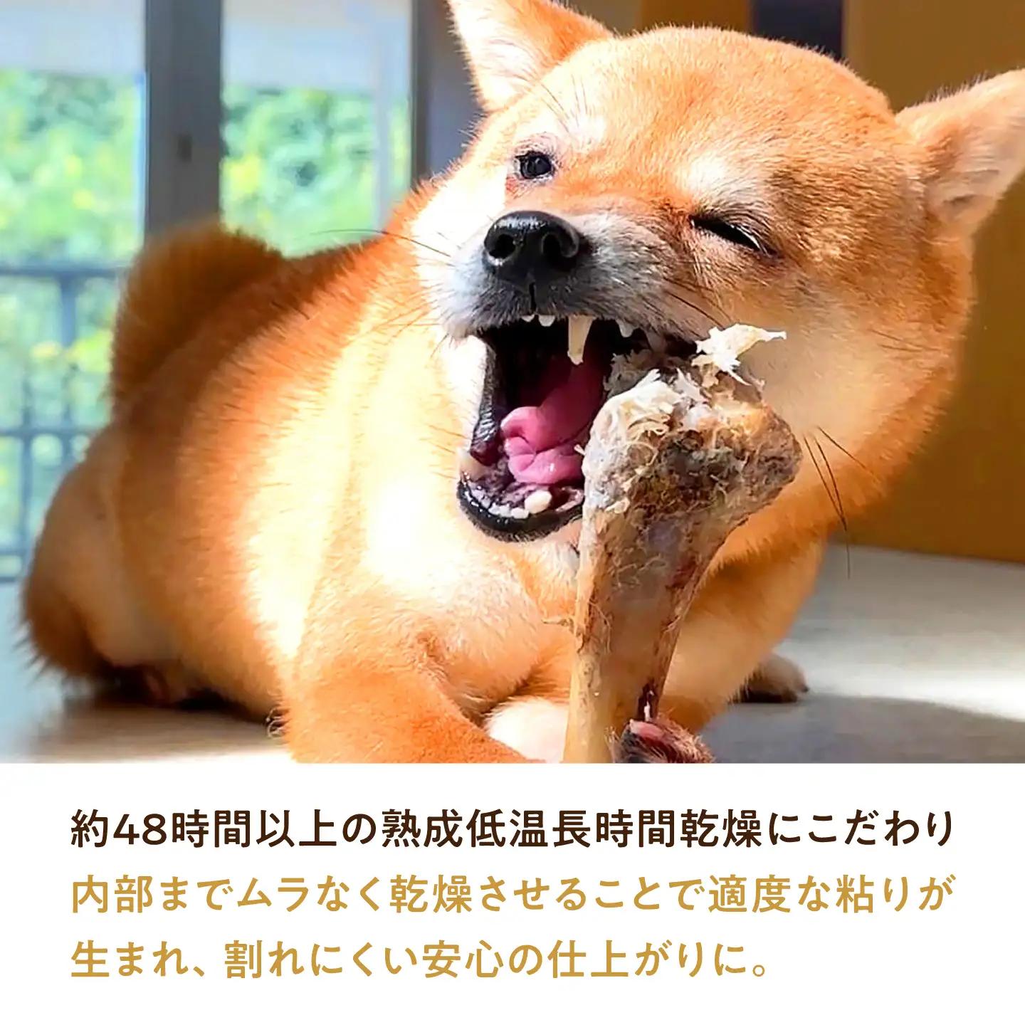 【全6回定期便】犬用高級デンタルケア 【犬道・極】 エゾ鹿 骨セット 800g以上 ～愛犬に捧ぐ　安全性優先・酸化を防ぐ「真空・冷凍保管」の超鮮度と、15年の健康～犬 ペット ペットフード 鹿 犬のお