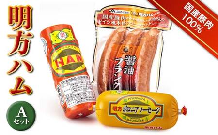 明方ハム Aセット ソーセージ ハム フランクフルト 詰め合わせ 計890g 国産 豚肉  肉 食品 岐阜県 坂祝町 F6M-017