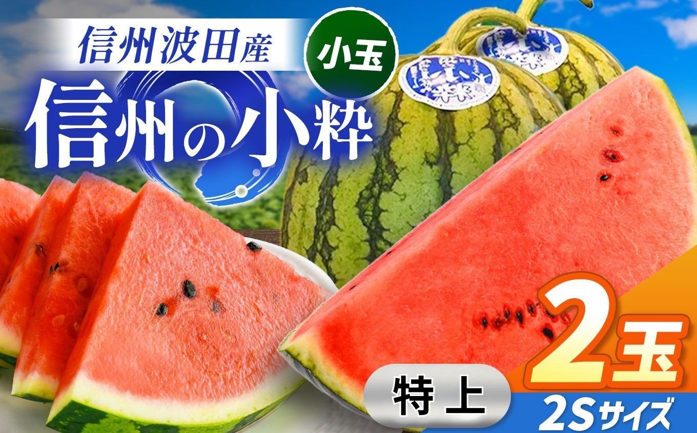 
            【先行受付：2026年7月発送】信州波田産 小玉スイカ！信州の小粋 【特上】 2玉 2Sサイズ｜ふるさと納税 長野県 信州 松本 果物 フルーツ すいか スイカ 西瓜 贈答 季節限定 甘い くだもの ふるーつ
          