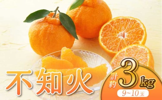 【先行予約】宇城市産 不知火 約3kg【うちやま果樹園】【2026年3月上旬から6月下旬発送予定】