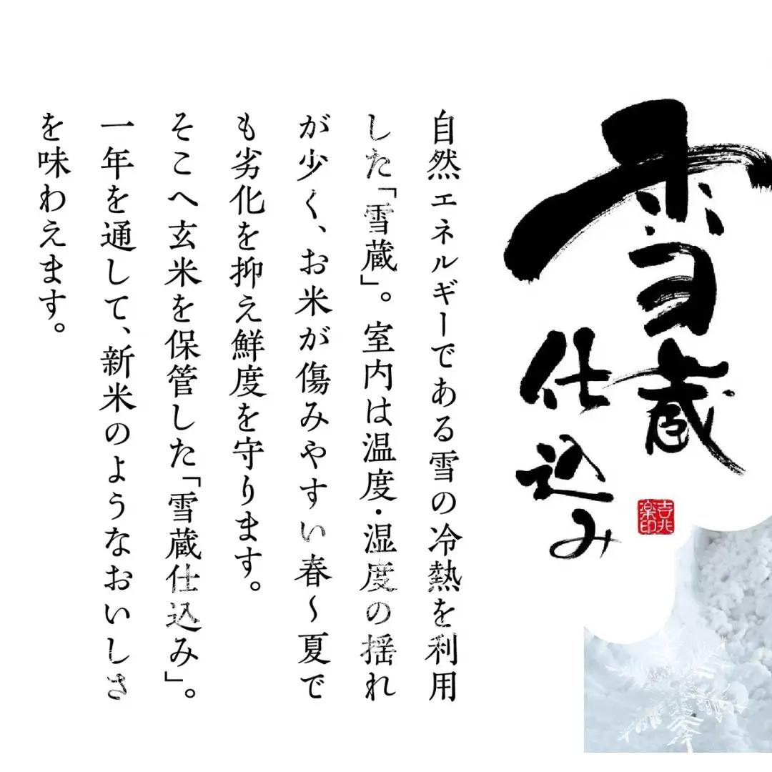 【令和7年産】 阿賀野産 コシヒカリ 「 雪室米 」4kg（ 雪室氷温熟成 ）新潟県 阿賀野市 米 こめ コメ 白米 精米  1J08027