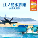 【ふるさと納税】チケット 神奈川 【新江ノ島水族館】前売入場券（大人1枚、小・中学生1枚）有効期間2025年4月1日～6ヵ月間 水族館 前売 入場券 江ノ島 藤沢市 神奈川県 プレゼント ギフト　お届け：2025年3月10日～3月31日まで