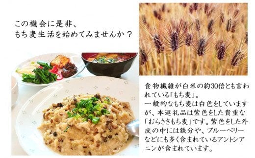 そのまま使える！蒸しむらさきもち麦150g（2104R）_イメージ2