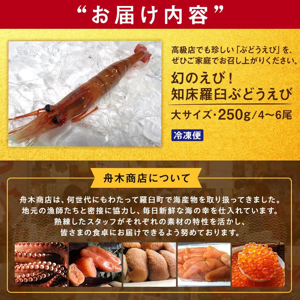 羅臼産 幻のぶどうえび（大・250g /4～6尾） 知床 ブドウエビ 北海道