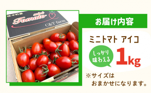 【甘くてジューシー】ミニトマト アイコ 1.0kg【C&T farm】 [QBG001]