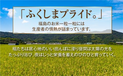 ＼ 年内発送 12/24(火)決済完了分まで！／ 【 新米 】 令和6年産 田村産 コシヒカリ 15kg ( 5kg × 3袋 ) 先行予約 精米 白米 贈答 ギフト プレゼント 美味しい 米 kom