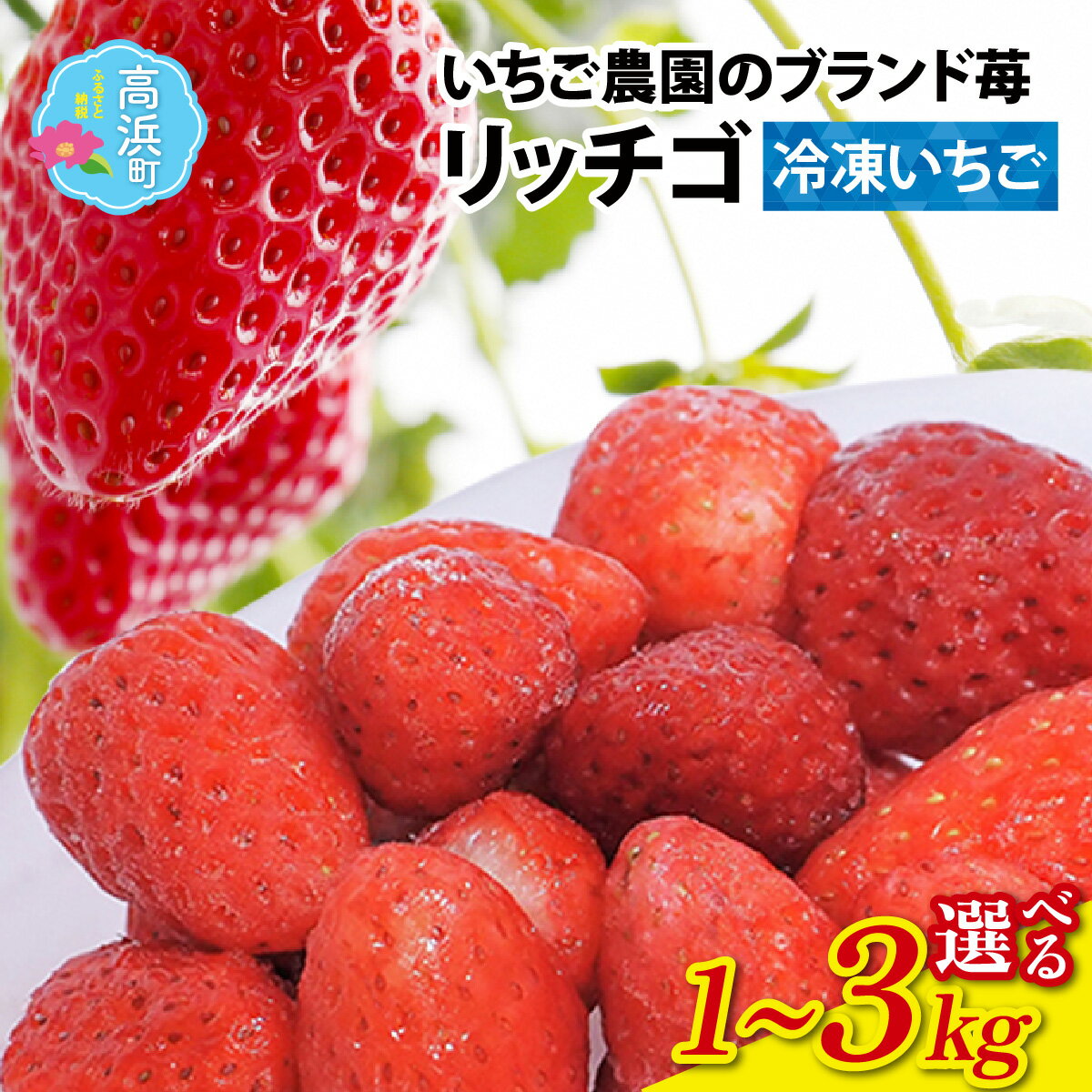 【ふるさと納税】【容量選べる】いちご農園のブランド苺【リッチゴ】( 冷凍いちご ) 1kg～3kg｜果物 青果 フルーツ デザート スイーツ 苺 いちご イチゴ 糖度 大粒 ギフト 贈り物 ブランド 国産 福井県 甘い 送料無料 冷凍 フローズン [A-026002]