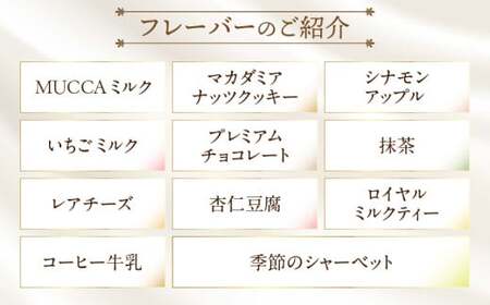 MUCCAジェラート　12個セット_mk024-001