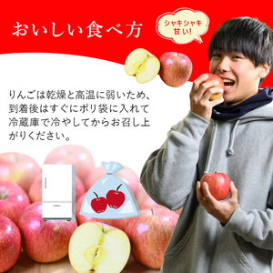 りんご【12月発送】糖度13度以上 シナノスイート おもてなし品  約5kg【青森りんご】
