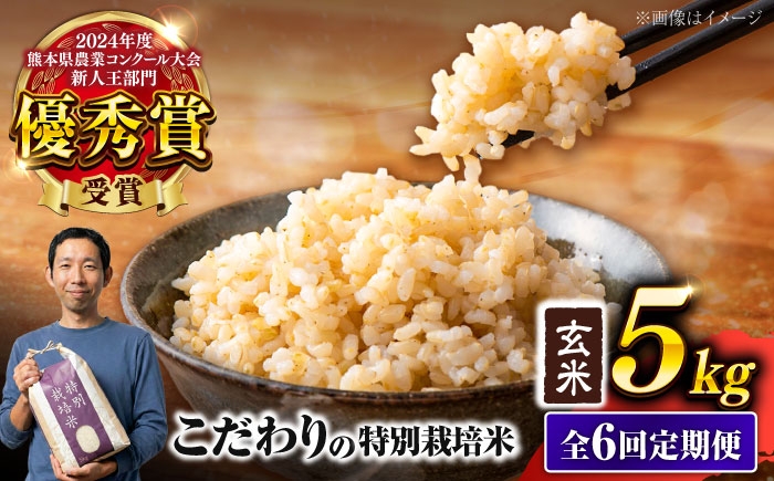 
                   【令和7年度】 【全6回定期便】 くまさんの輝き 玄米 5kg 計30kg 米 こめ コメ お米 げんまい【坂本農園】 [AYCC026]
                