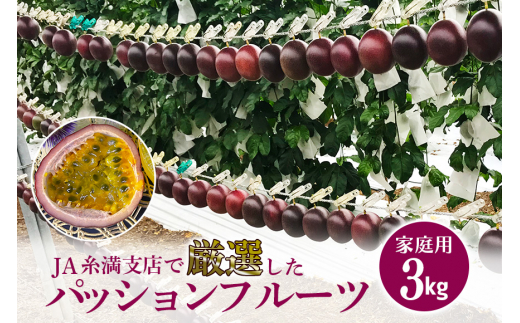 【 先行予約 2027年 発送 】 JA糸満支店で厳選した「 パッションフルーツ 」家庭用 約 3kg 果物 フルーツ くだもの 3キロ 沖縄 果実 南国フルーツ 沖縄県産 美味しい 甘い あまい 甘み 酸味 爽やか 産地直送 農家直送 産直 沖縄県 糸満市