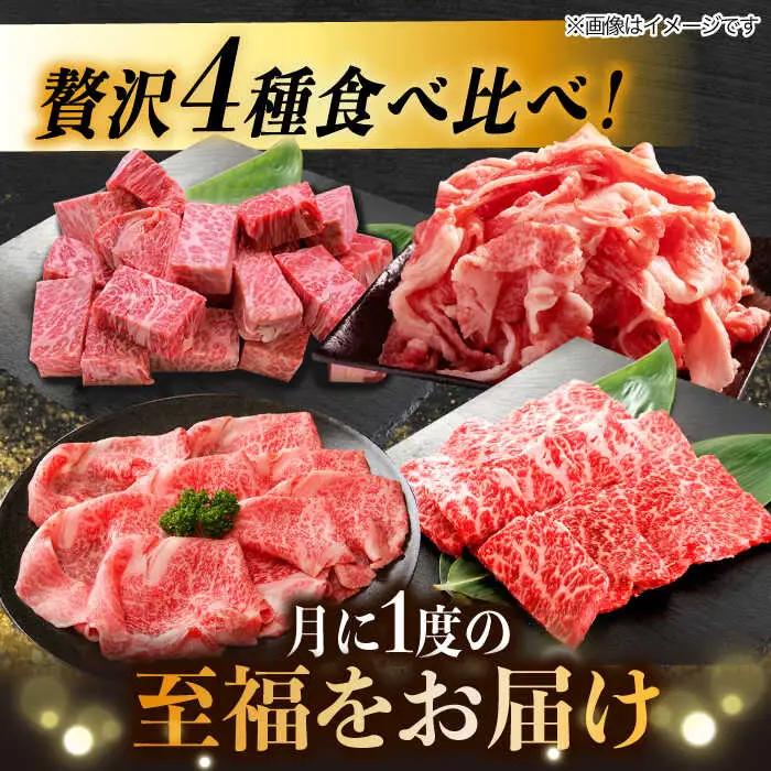 【4回定期便】 飛騨牛 プレミアム 定期便 2人前 ( しゃぶしゃぶ × すき焼き × サイコロステーキ × 焼肉 ) 各500g[TAZ046]牛