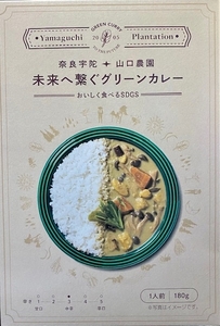 未来へ繋ぐグリーンカレー １０個 ／ 山口農園 有機野菜 オーガニック 伝統野菜 レトルト 詰め合わせ カレー ギフト カレーセット スパイス 飯 キャンプお取り寄せ 奈良県 宇陀市 送料無料 ふるさと納税