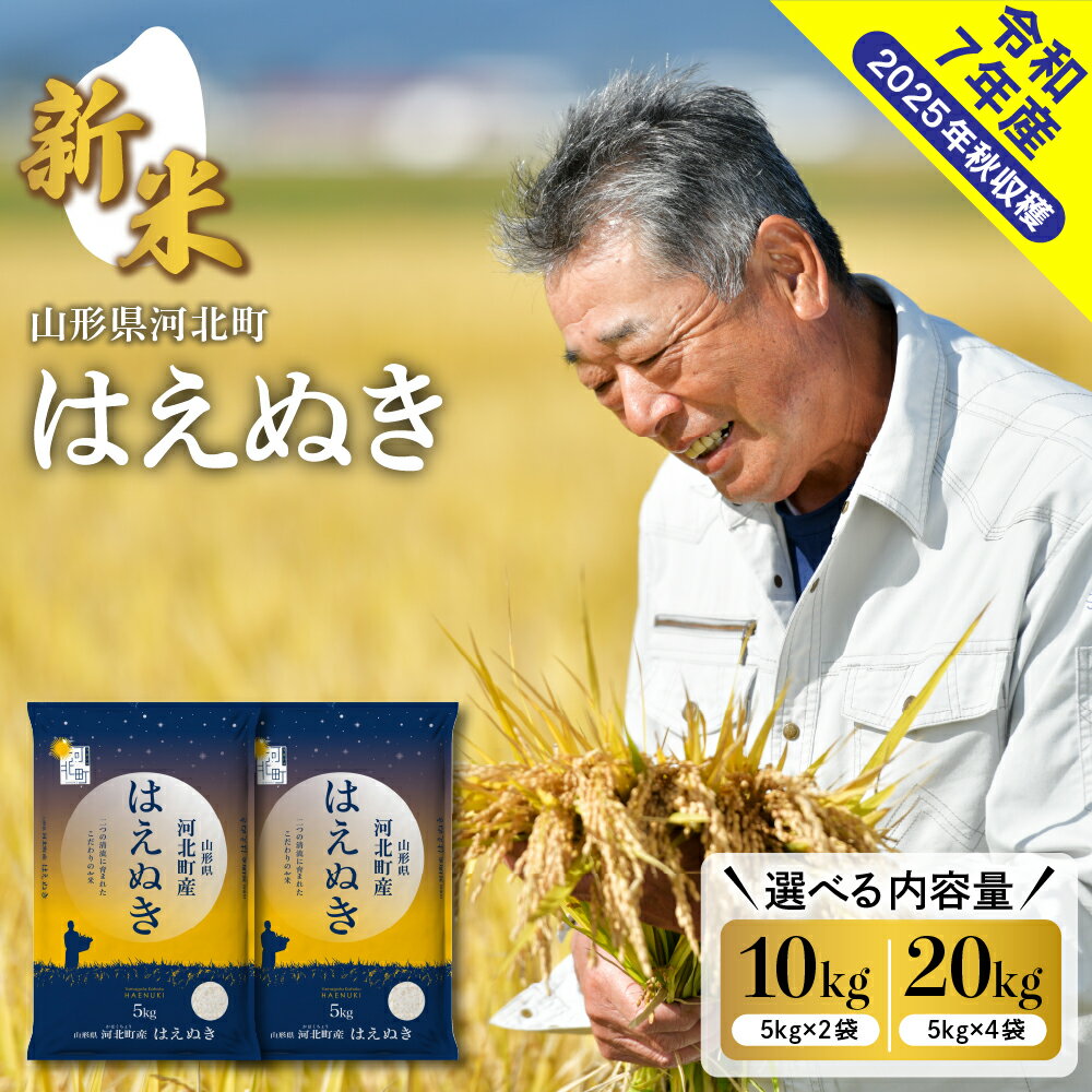 【ふるさと納税】【 令和7年産 新米 】 米 はえぬき 選べる 10kg / 20kg 先行予約 山形県産 | 配送時期が選べる 2025年 先行受付 10キロ 20キロ お米 白米 精米 こめ ご飯 おにぎり お取り寄せ 産地直送 国産米 送料無料 山形県 河北町 【米COMEかほく協同組合】