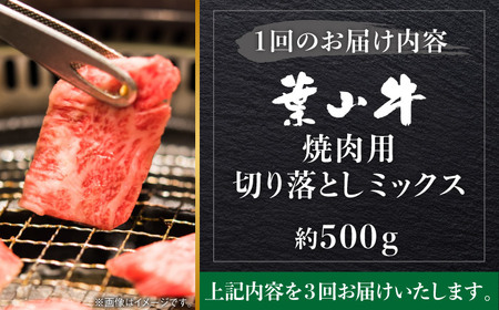 【全3回定期便】葉山牛500g　焼肉用ミックス 牛肉（ロース、モモ、カルビ等 ） 食べ比べ[ASBD028]