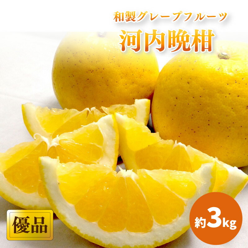 【ふるさと納税】 【2026年4月上旬頃から発送】 河内晩柑 優品 家庭用 約3kg｜ みしょうゴールド 美生柑 愛南ゴールド ジューシーオレンジ 夏文旦 木成り熟成 爽やか みかん ミカン 蜜柑 甘い 期間 愛媛県産 甘み 香り 柑橘 松山市 贈答 新鮮 ココオ Koko'o
