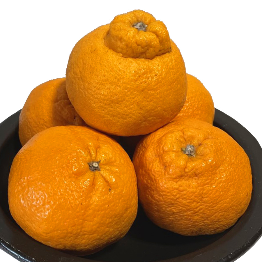 化粧箱入り不知火（みかん）　2.8kg