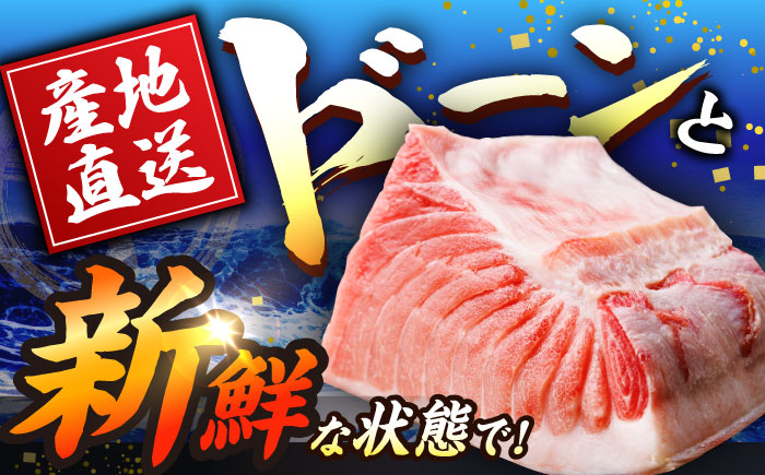 【全3回定期便 (月1回) 】長崎県産 本マグロ 大トロ皮付き 約600g 【大村湾漁業協同組合】 [BAK028] / マグロ まぐろ大トロ 大とろ 刺身