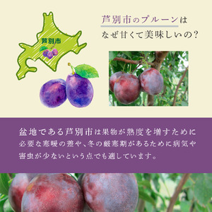【 先行受付 】プルーン ジョーク 1kg 生 フルーツ 果物 旬のフルーツ 旬の果物 くだもの 北海道 芦別市